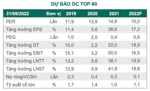 Dragon Capital: VN-Index sẽ không xuyên thủng ngưỡng 1.200 điểm - Ảnh 1.