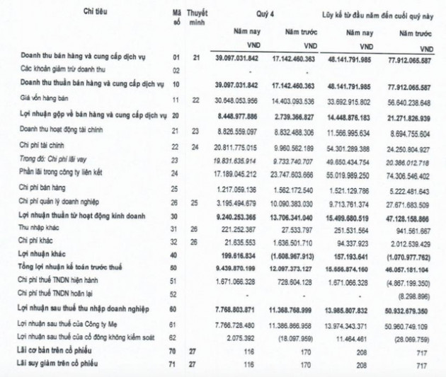 DRH Holdings (DRH): Năm 2021 chỉ lãi 14 tỷ đồng, chính thức vỡ kế hoạch kinh doanh - Ảnh 1.