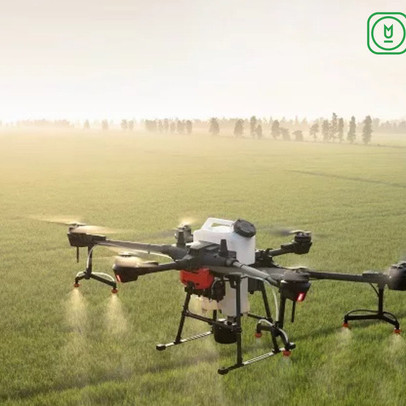 Drone đã làm được gì cho nông dân và nông nghiệp Việt Nam