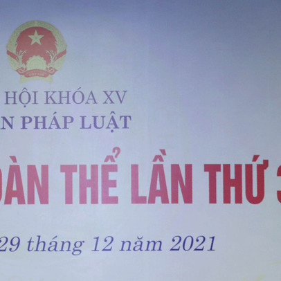 Dự án Luật sửa đổi, bổ sung có tác động lớn đến kinh tế - xã hội đang cần Quốc hội xem xét gồm những luật nào?