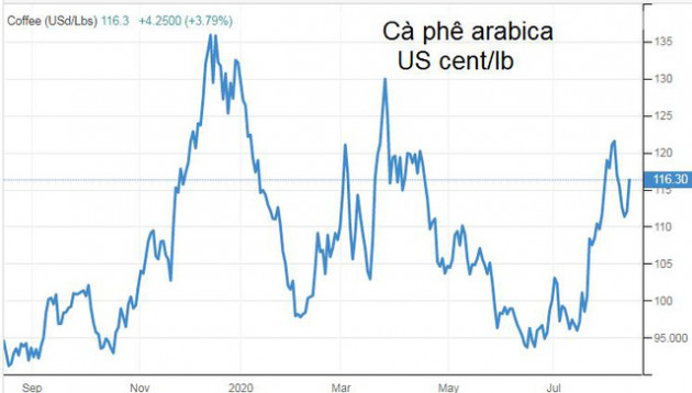Dự báo đầu tư vào cà phê đến cuối năm sẽ sinh lời, đường và cacao nguy cơ lỗ - Ảnh 1.