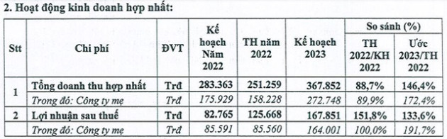 Dự báo khó khăn, Tín Nghĩa vẫn tự tin với mục tiêu lợi nhuận 2023 tăng trưởng 62% lên mức kỷ lục - Ảnh 1.