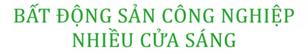 Bất động sản đảo chiều trước nỗi lo lạm phát? - Ảnh 2.