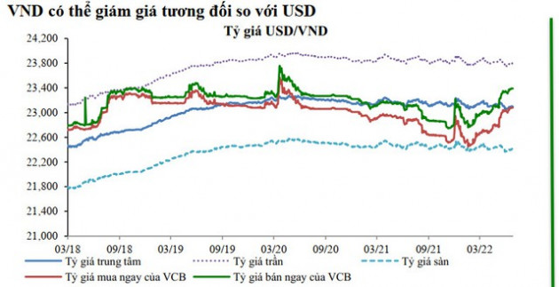 Dự báo VND mất giá 3% so với USD trong năm 2022, lãi suất huy động tăng 1 - 1,5 điểm % - Ảnh 1.