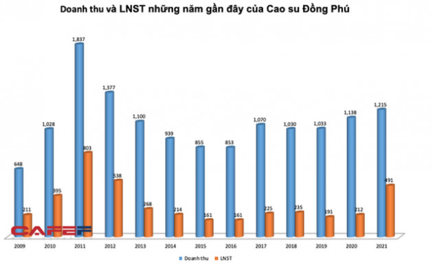 Dự kiến thu lời lớn từ quỹ đất vàng, cổ phiếu cao su âm thầm vượt đỉnh lịch sử, giá tăng gấp đôi sau 1 năm - Ảnh 2.