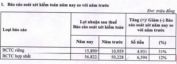 Du lịch Thành Thành Công (VNG) báo lãi ròng tăng 73% sau soát xét - Ảnh 2.