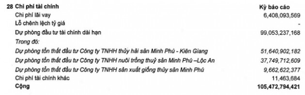 Dự phòng tổn thất đầu tư ở mức cao, quý 2 công ty mẹ Minh Phú (MPC) lãi 76 tỷ đồng, giảm 28% so với cùng kỳ 2020 - Ảnh 1.