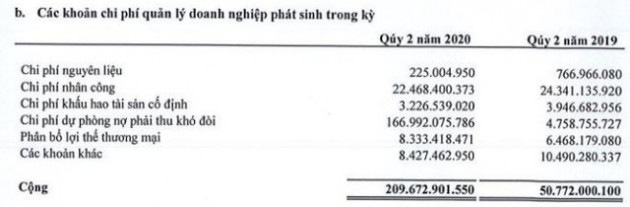 Đức Long Gia Lai (DLG): Quý 2 lỗ lớn 213 tỷ đồng - Ảnh 1.