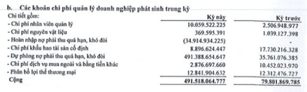 Đức Long Gia Lai (DLG): Quý 4 lỗ kỷ lục gần 500 tỷ đồng do trích lập dự phòng - Ảnh 1.