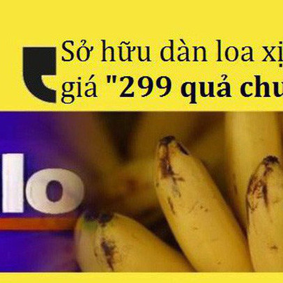 Dùng "tiếng lóng" quảng cáo dàn loa giá “299 bananas”, khách hàng "nghiêm túc" mang 11.000 quả chuối thật đến đổi khiến chuỗi điện máy lỗ nặng