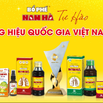 Dược Nam Hà: Đa dạng hóa chiến lược để tăng trưởng ấn tượng