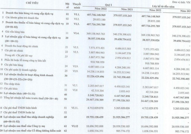 Dược phẩm Hà Tây (DHT) báo lãi trước thuế quý 1/2022 hoàn thành gần 40% kế hoạch năm - Ảnh 1.