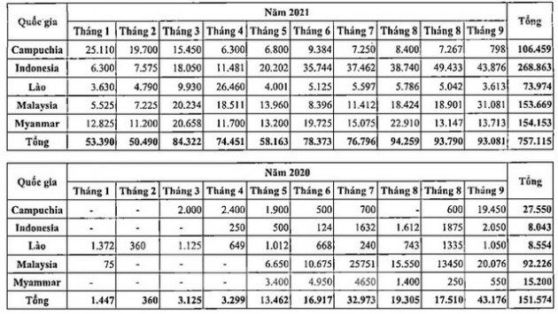 Đường mía 5 nước ASEAN ồ ạt vào Việt Nam, cảnh báo nguy cơ rửa nguồn - Ảnh 1.