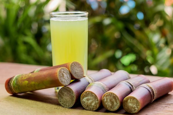Đường thiếu hụt gần 4 triệu tấn năm 2022: Sở hữu vùng nguyên liệu 66.000 ha, thời điểm vàng của SBT đã tới - Ảnh 3.