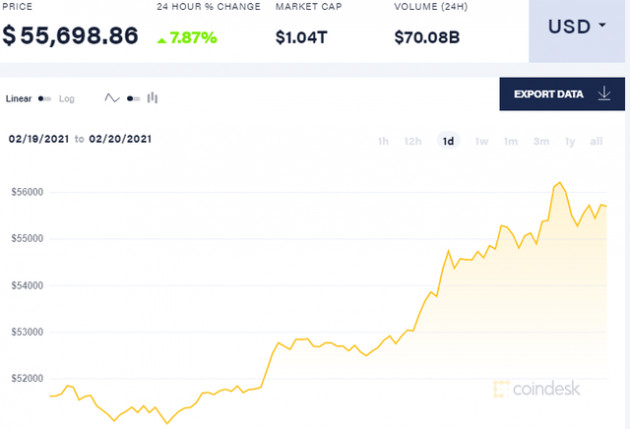 Elon Musk: Bitcoin đỡ ngớ ngẩn hơn tiền mặt - Ảnh 2.