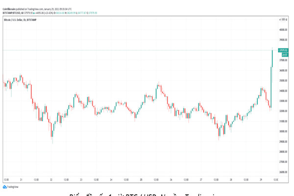 Elon Musk đã khiến giá bitcoin tăng chóng mặt - Ảnh 2.