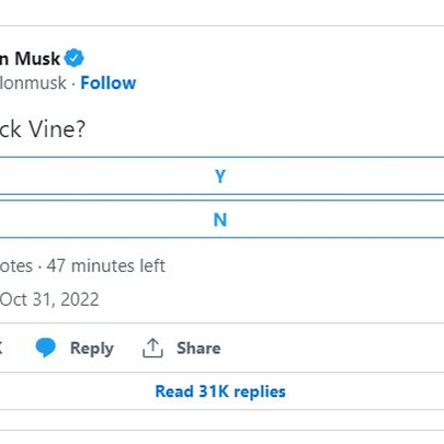 Elon Musk sẽ dùng Twitter để đại chiến... Tiktok?