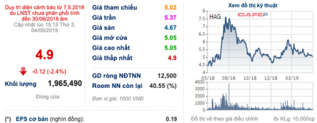 Em trai bầu Đức muốn bán toàn bộ 5 triệu cổ phiếu HAGL - Ảnh 1.