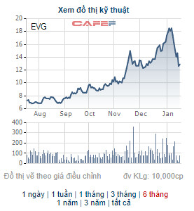 EVG giảm sâu, Phó Tổng Giám đốc Everland đăng ký mua 3 triệu cổ phiếu - Ảnh 1.