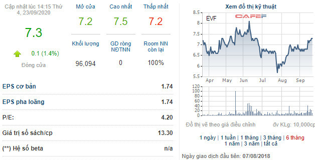 EVN đưa gần 2,7 triệu cổ phần EVN Finance (EVF) ra bán đấu giá - Ảnh 1.
