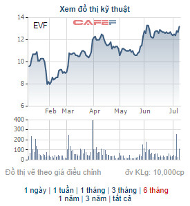 EVN Finance (EVF) chốt danh sách cổ đông phát hành gần 40 triệu cổ phiếu trả cổ tức - Ảnh 2.