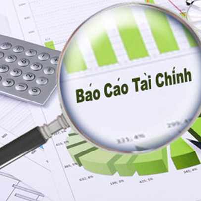 EVN Finance (EVF) lãi trước thuế 411 tỷ đồng cả năm, vượt 28% kế hoạch