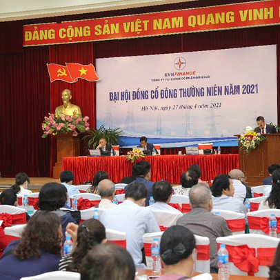 EVNFinance đặt mục tiêu lợi nhuận năm 2021 tăng 12%