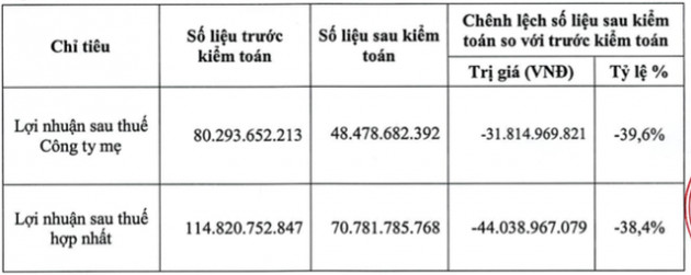 Fecon (FCN) điều chỉnh giảm 38% lợi nhuận sau thuế sau kiểm toán - Ảnh 1.