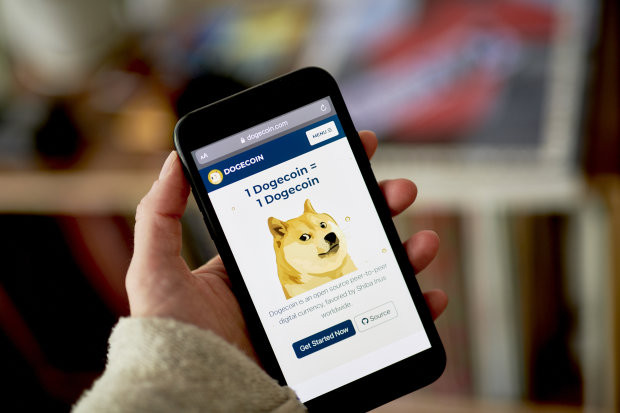 Financial Times: Dogecoin - Canh bạc hời hay cú lừa? - Ảnh 1.