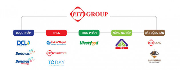 FIT Group: 2021 là năm gặt hái thành quả của quá trình tái cấu trúc - Ảnh 1.
