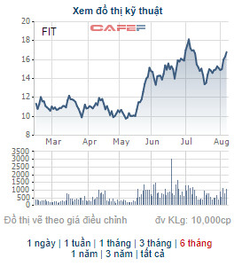 FIT thông qua nội dung triển khai phát hành 51 triệu cổ phiếu chào bán cho cổ đông hiện hữu - Ảnh 1.