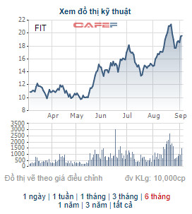 FIT thông qua việc triển khai phát hành thêm khoảng 77 triệu cổ phiếu trả cổ tức và chào bán cho cổ đông hiện hữu - Ảnh 2.