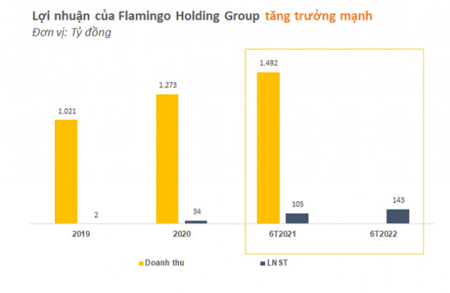 Flamingo Cát Bà giảm doanh thu, Flamingo Thái Nguyên dừng đầu tư, LNST 6T2022 của Flamingo Holding vẫn tăng 36% - Ảnh 1.