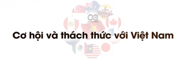 Founder hãng luật Baker McKenzie Vietnam: Đằng sau câu chuyện Trung Quốc xin gia nhập CPTPP và thách thức của Việt Nam trước ‘gorilla nặng nghìn pound’ - Ảnh 8.