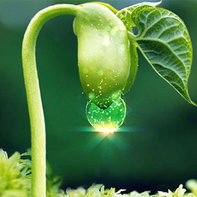 FPT, HNG, VPB, CEE, SHB, DTL, NLG, CNG, TDM, API, CEO, MBS, VHE, KDM, HIG, VRG, QTP, XHC, C47, DRI, SPV: Thông tin giao dịch lượng lớn cổ phiếu