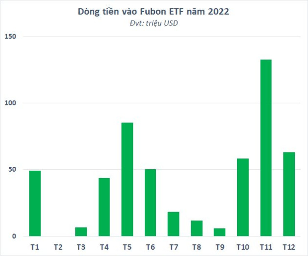 Fubon ETF tiếp tục giải ngân 5 triệu USD mua cổ phiếu Việt Nam trong đợt gọi vốn lần 5 - Ảnh 2.