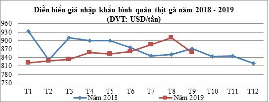 Gà Mỹ và Brazil về Việt Nam giá chưa đến 20.000 đồng/kg, Bộ Công Thương khuyến cáo người dân cân nhắc tái đàn - Ảnh 2.