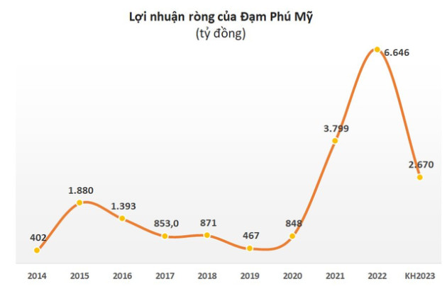 Gần 1.600 tỷ đồng cổ tức sắp về tay cổ đông Đạm Phú Mỹ (DPM) - Ảnh 1.