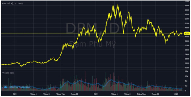 Gần 1.600 tỷ đồng cổ tức sắp về tay cổ đông Đạm Phú Mỹ (DPM) - Ảnh 2.