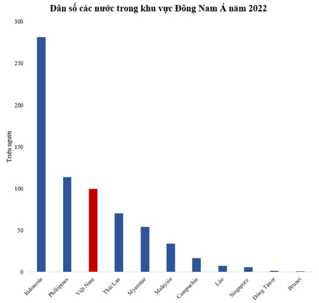 Gần chạm ngưỡng 100 triệu người, dân số Việt Nam đứng thứ mấy trong khu vực? - Ảnh 1.