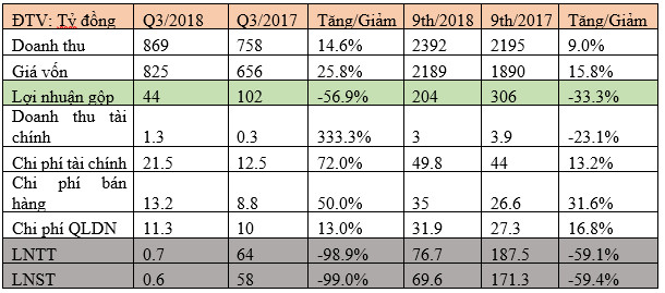 Gánh nặng chi phí, Đại Thiên Lộc (DTL) báo lãi chưa đến 1 tỷ đồng trong quý 3/2018 - Ảnh 1.