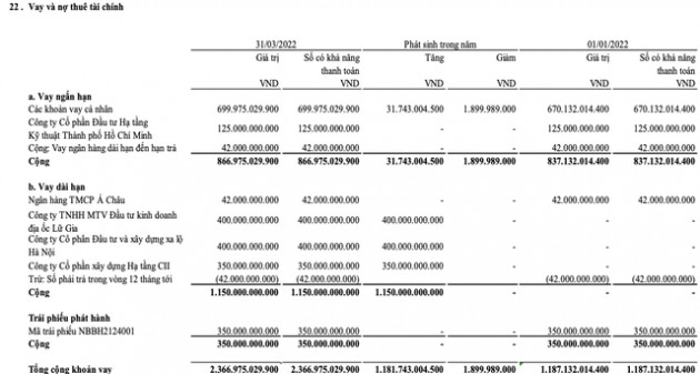 Gánh nặng chi phí tài chính, Năm Bảy Bảy (NBB) báo lãi quý 1/2022 giảm 95% so với cùng kỳ, dòng tiền đầu tư âm gần 1.300 tỷ - Ảnh 1.