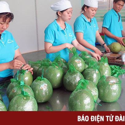 GDP ngành nông nghiệp tăng cao nhất 3 năm