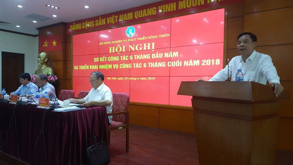 GDP nông lâm thủy sản 6 tháng tăng cao nhất trong 10 năm gần đây - Ảnh 1.