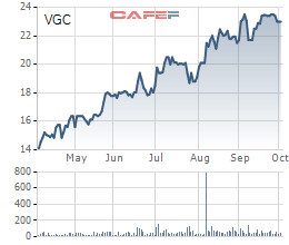GELEX chào mua thành công 94,61 triệu cổ phiếu VGC, tiến sát mục tiêu sở hữu chi phối Viglacera - Ảnh 1.