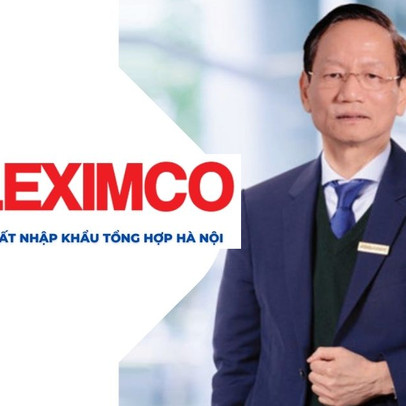 Geleximco trước khi làm ô tô: Hệ sinh thái đồ sộ từ BĐS, tài chính, Điện, giấy... đến nuôi lợn và trồng vải thiều