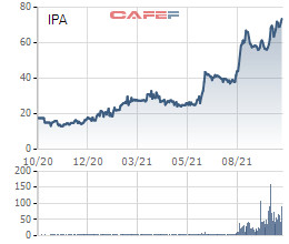 Ghi nhận lãi lớn từ bán cổ phần Hòn ngọc Á Châu, IPA phát hành 89 triệu cổ phiếu thưởng tỷ lệ 100% - Ảnh 1.