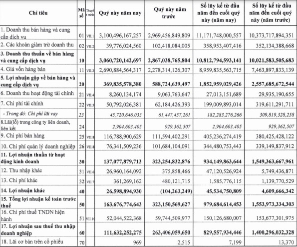 Giá bán giảm mạnh, Dabaco (DBC) báo lãi quý 4 đạt 112 tỷ đồng, giảm 58% so với cùng kỳ - Ảnh 1.