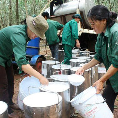 Giá bán tăng cao, Cao su Bà Rịa (BRR) báo lãi quý 3/2021 tăng gấp 3 lần cùng kỳ bất chấp sản lượng tiêu thụ sụt giảm