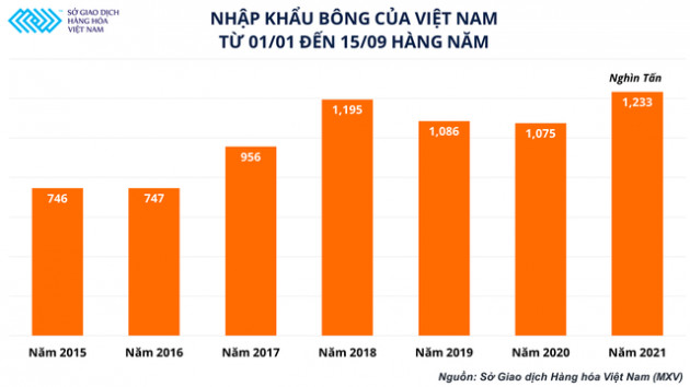 Giá bông lên cao nhất một thập kỉ, những bộ quần áo khoác lên người ngày càng đắt đỏ - Ảnh 2.